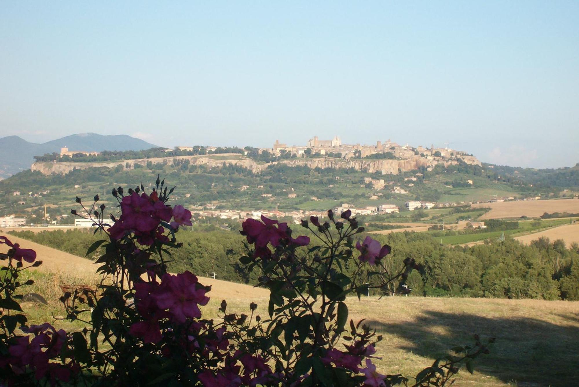 Agriturismo Cioccoleta Orvieto Exterior foto